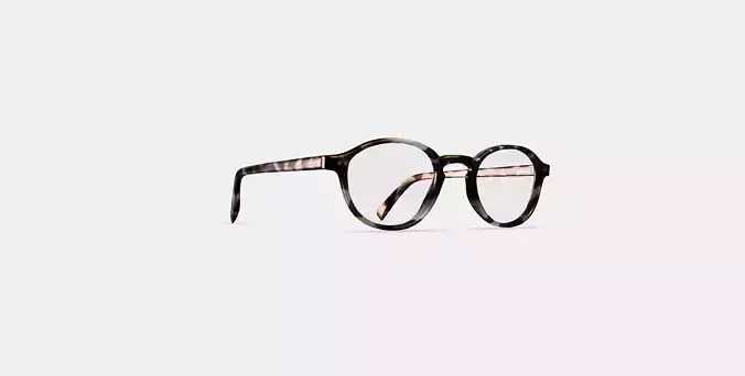 Caswell Eyeglasses in Biscotti Tortoise 3D model