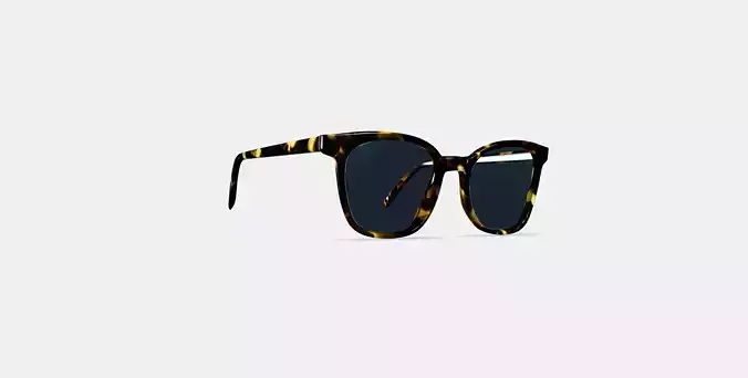 Griffin Sunglasses in Burnt Honeycomb Tortoise