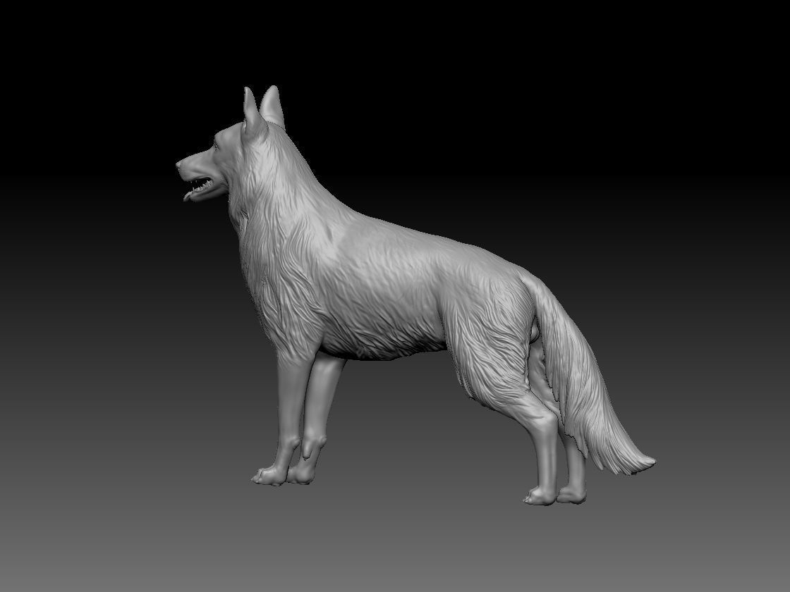 German Shepherd Dog 3D print model_2