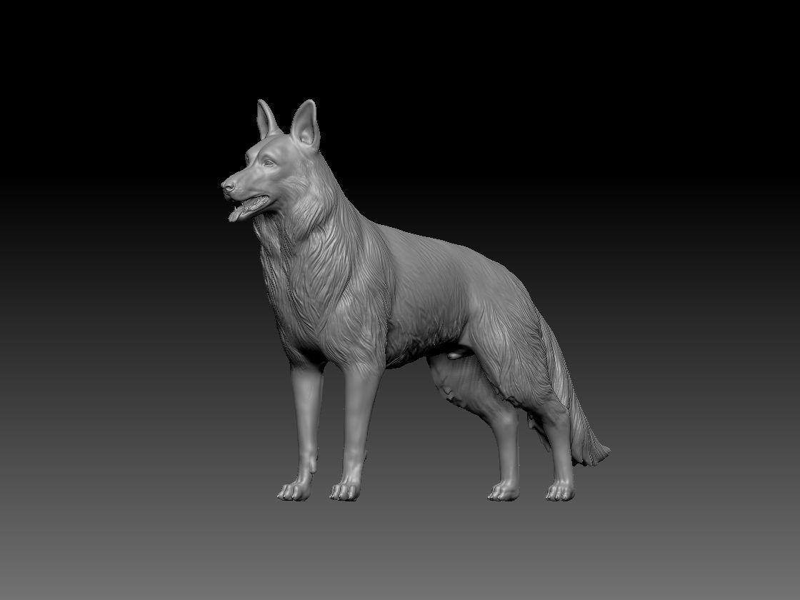 German Shepherd Dog 3D print model_3