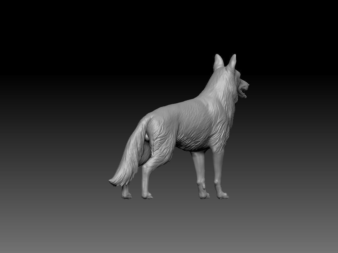 German Shepherd Dog 3D print model_1