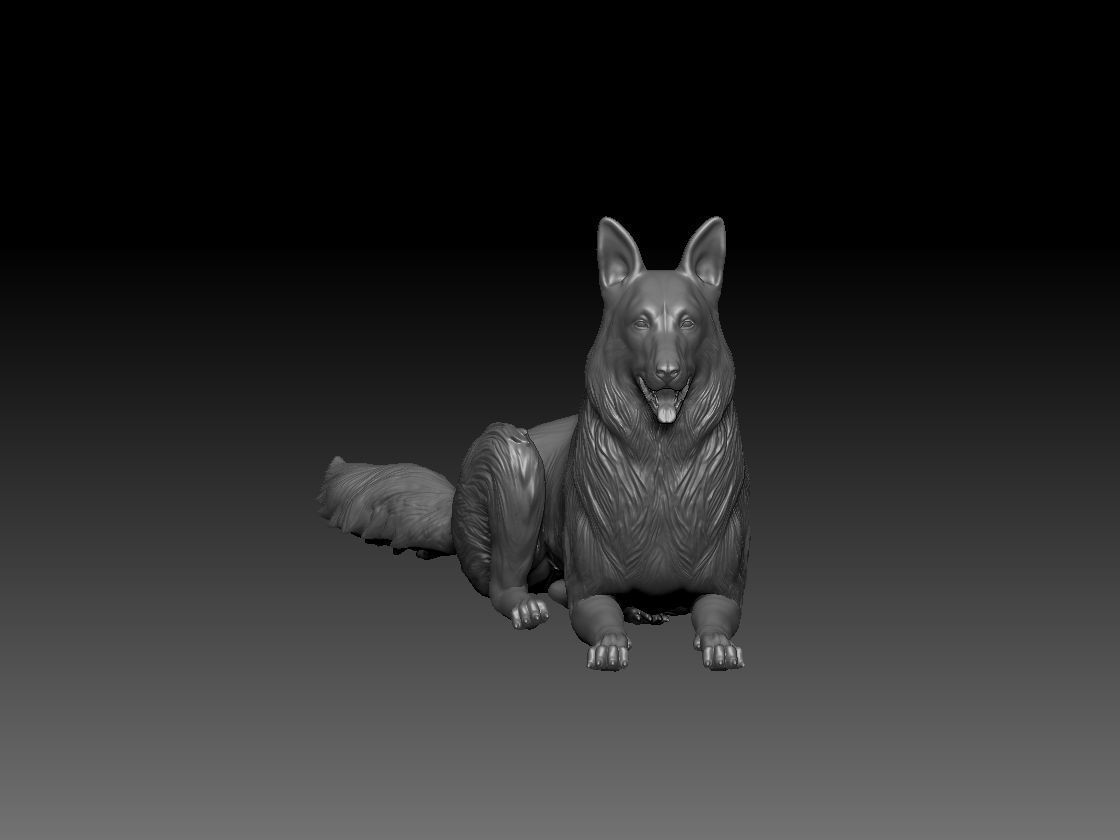 German Shepherd Dog siting 3D print model_1