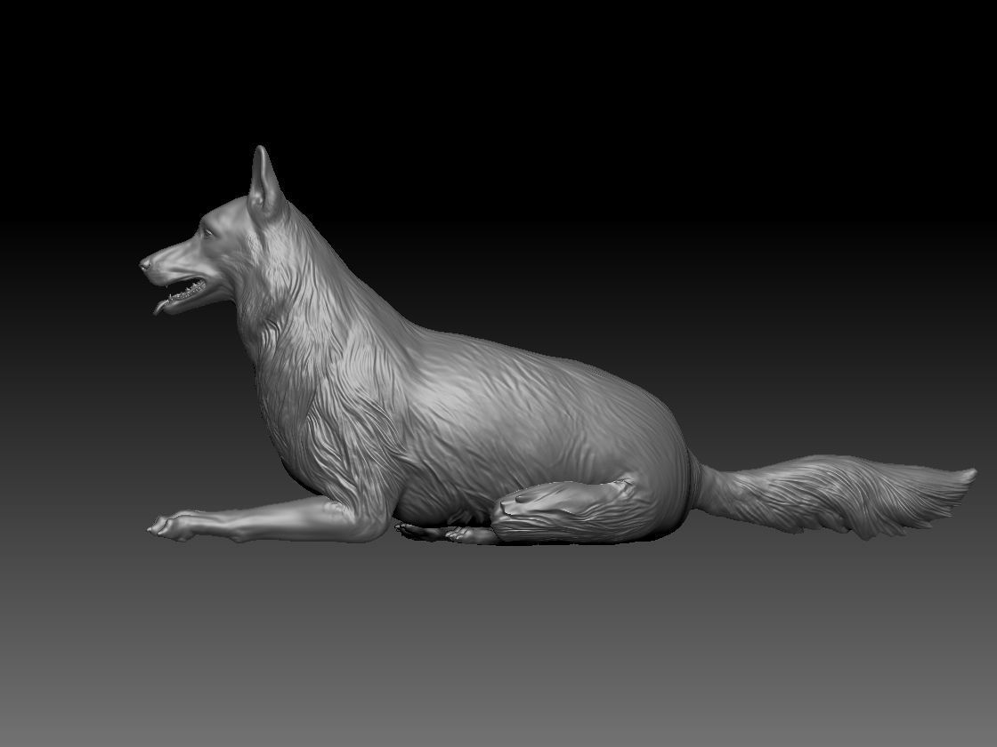 German Shepherd Dog siting 3D print model_2