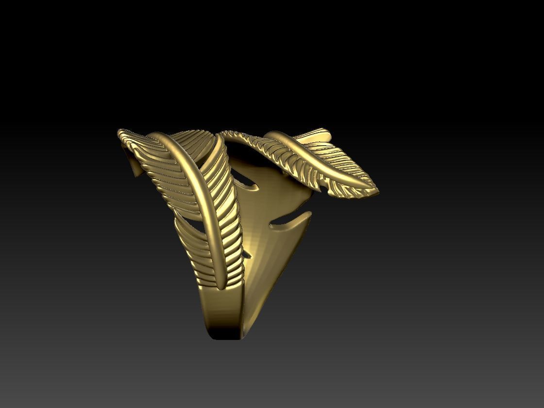 feater ring  3D print model_3
