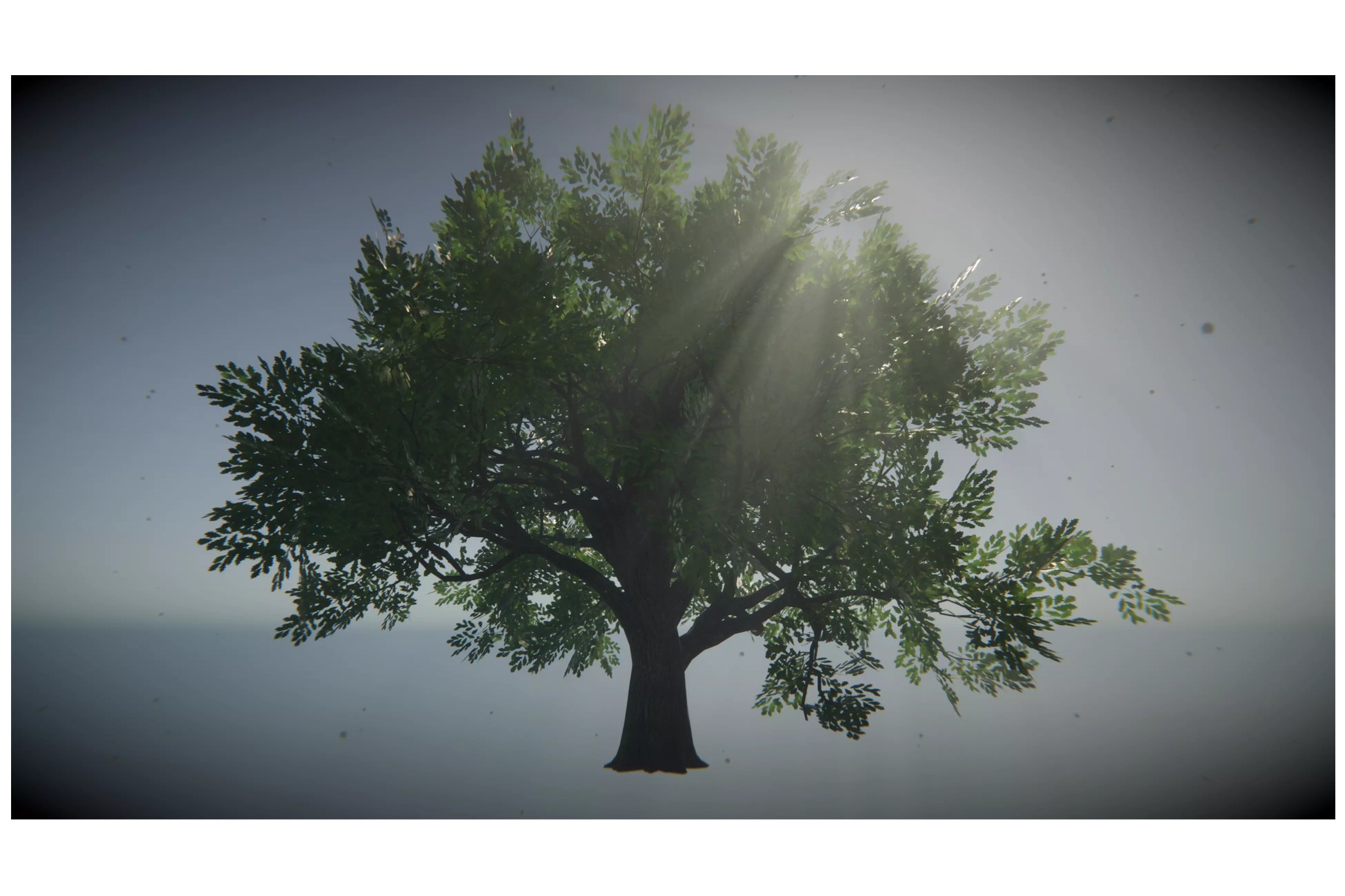 Big Oak Low-poly 3D model_9