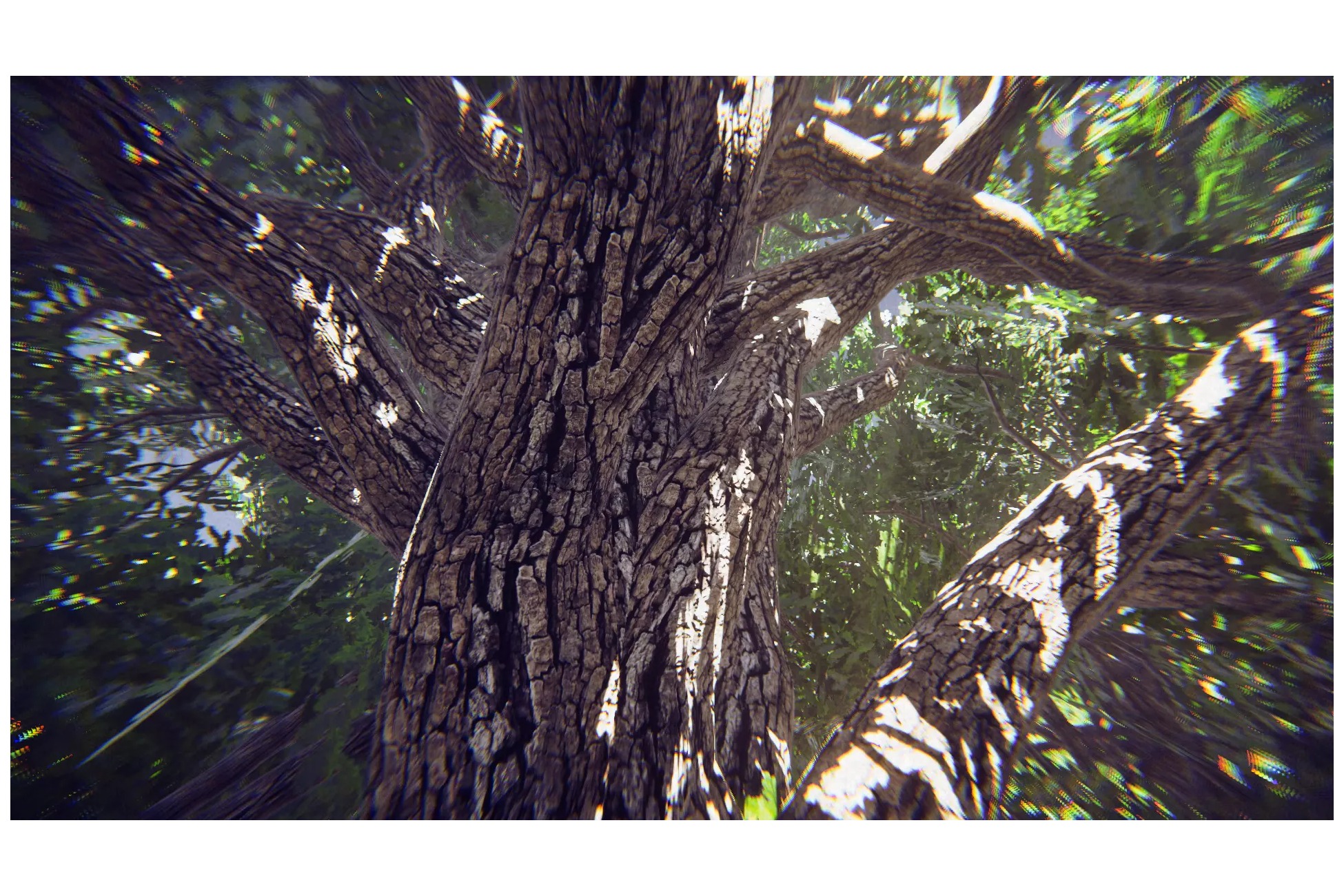 Big Oak Low-poly 3D model_6