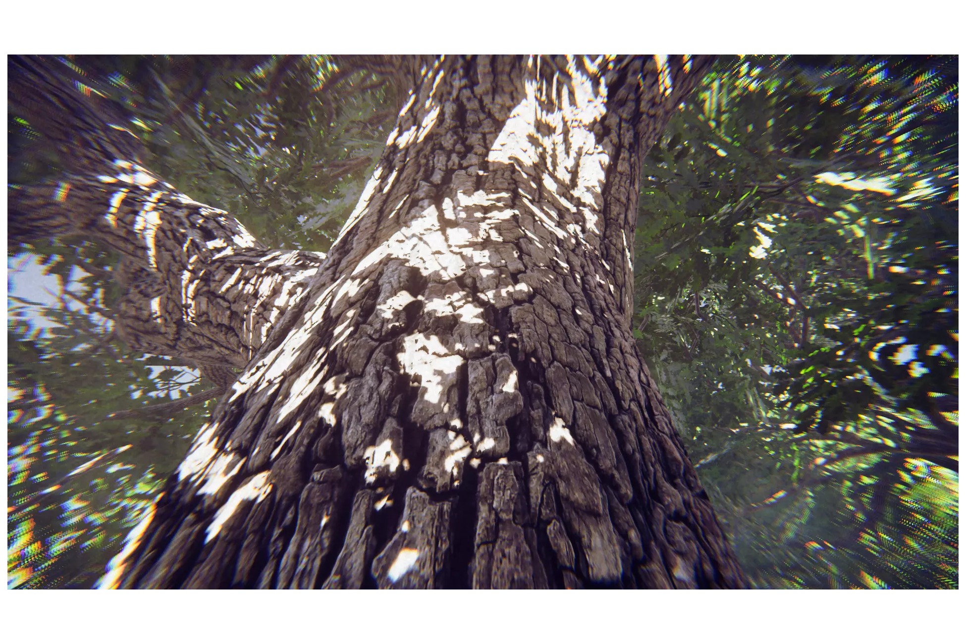 Big Oak Low-poly 3D model_4