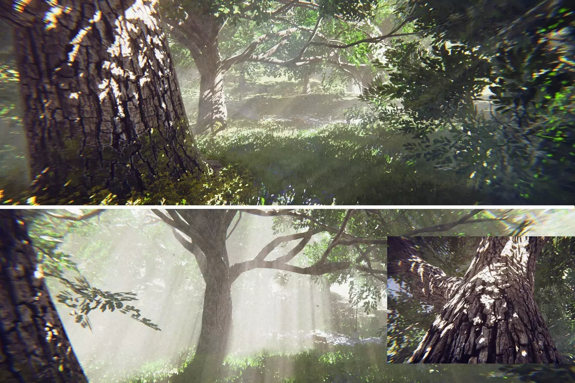 Big Oak Low-poly 3D model_0