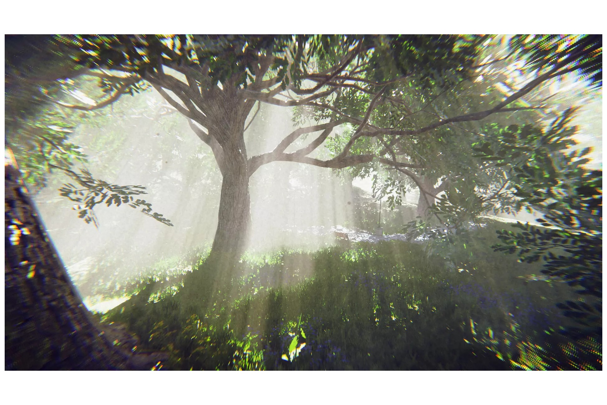 Big Oak Low-poly 3D model_5