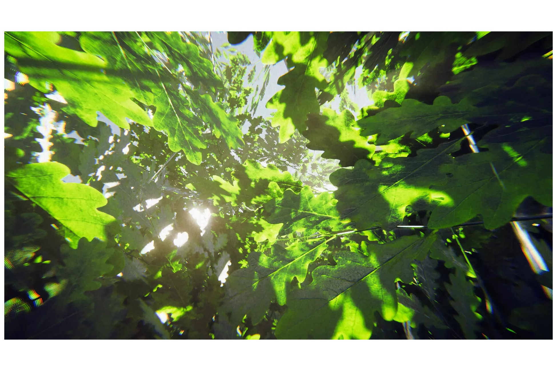 Big Oak Low-poly 3D model_8