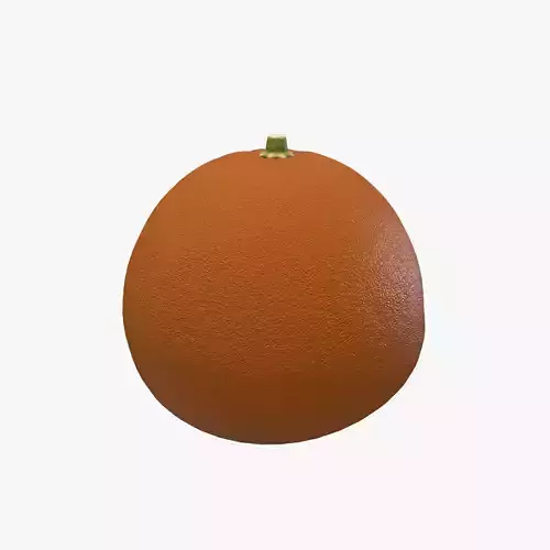 Orange Low-poly 3D model