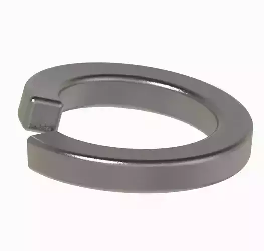 Steel Spring Washer 3D print model