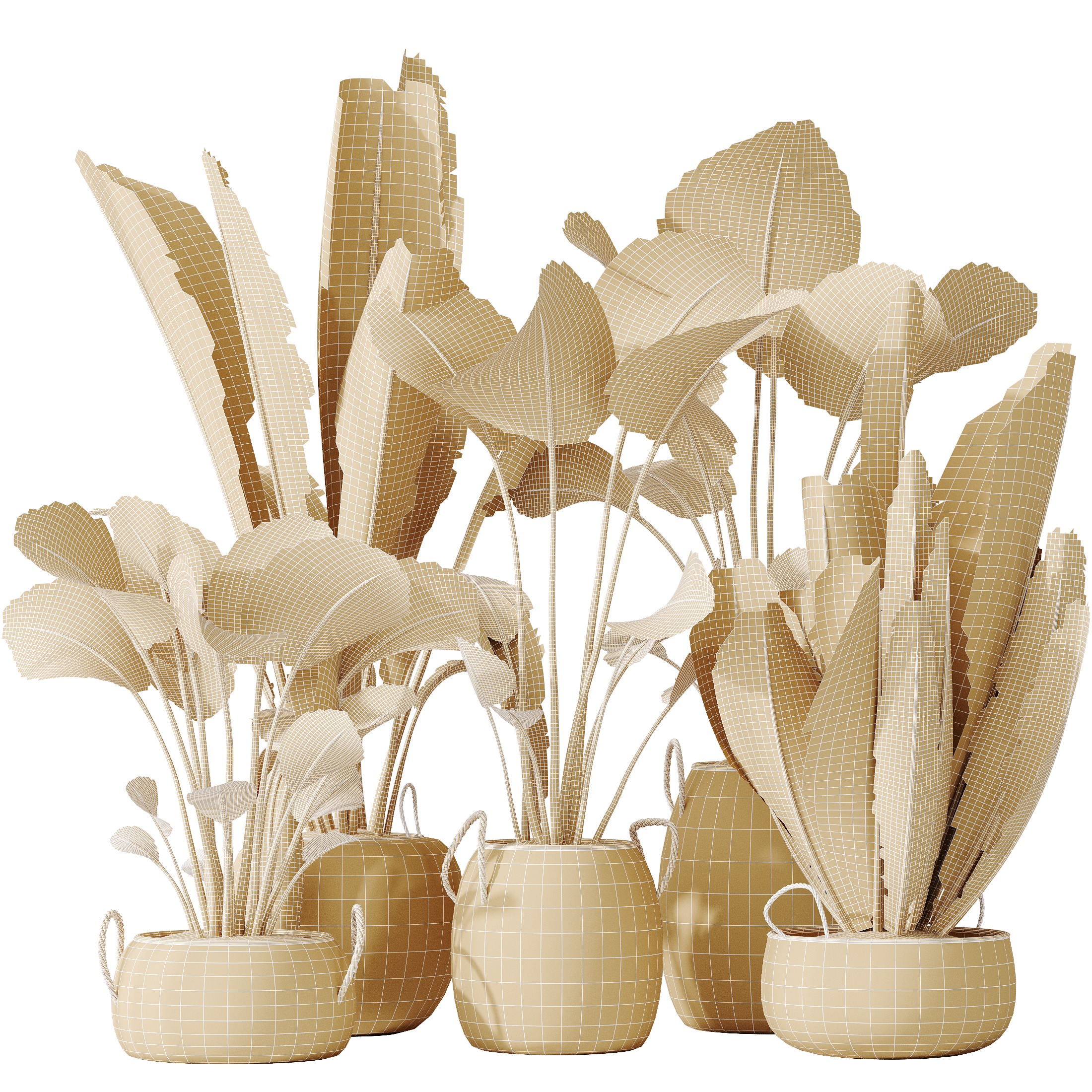 AV Indoor plants set 130 Ravenala Banana Strelitzia Nicolai Bird 3D model_6
