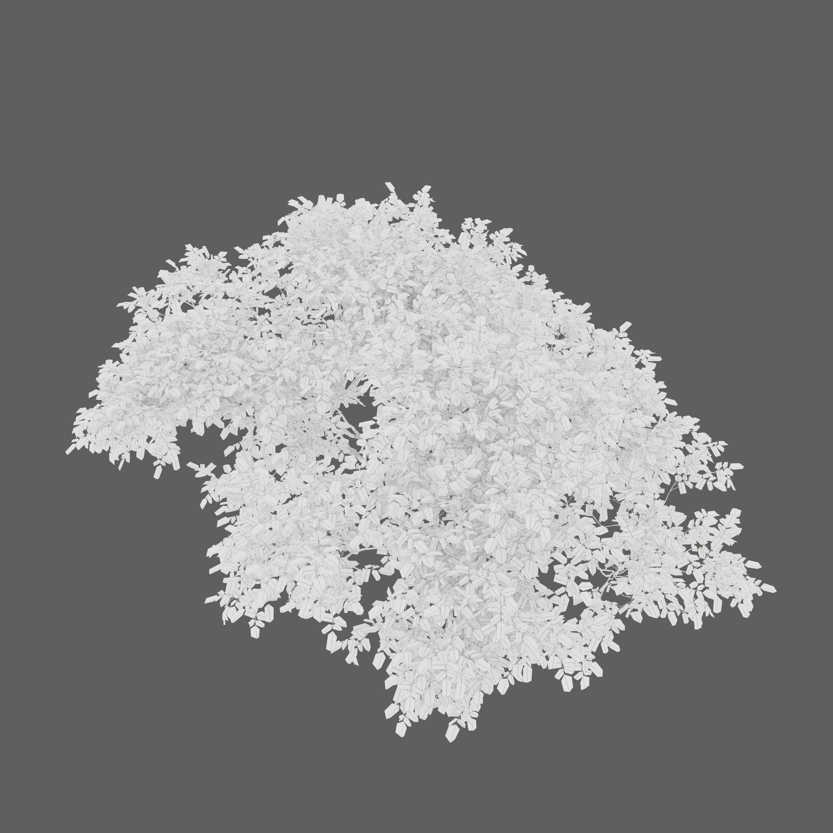 Bush collection 25 3D model_5