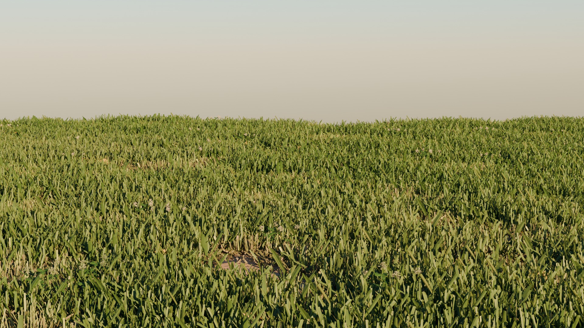 Grass Pack 3 Biomes 3D model_3