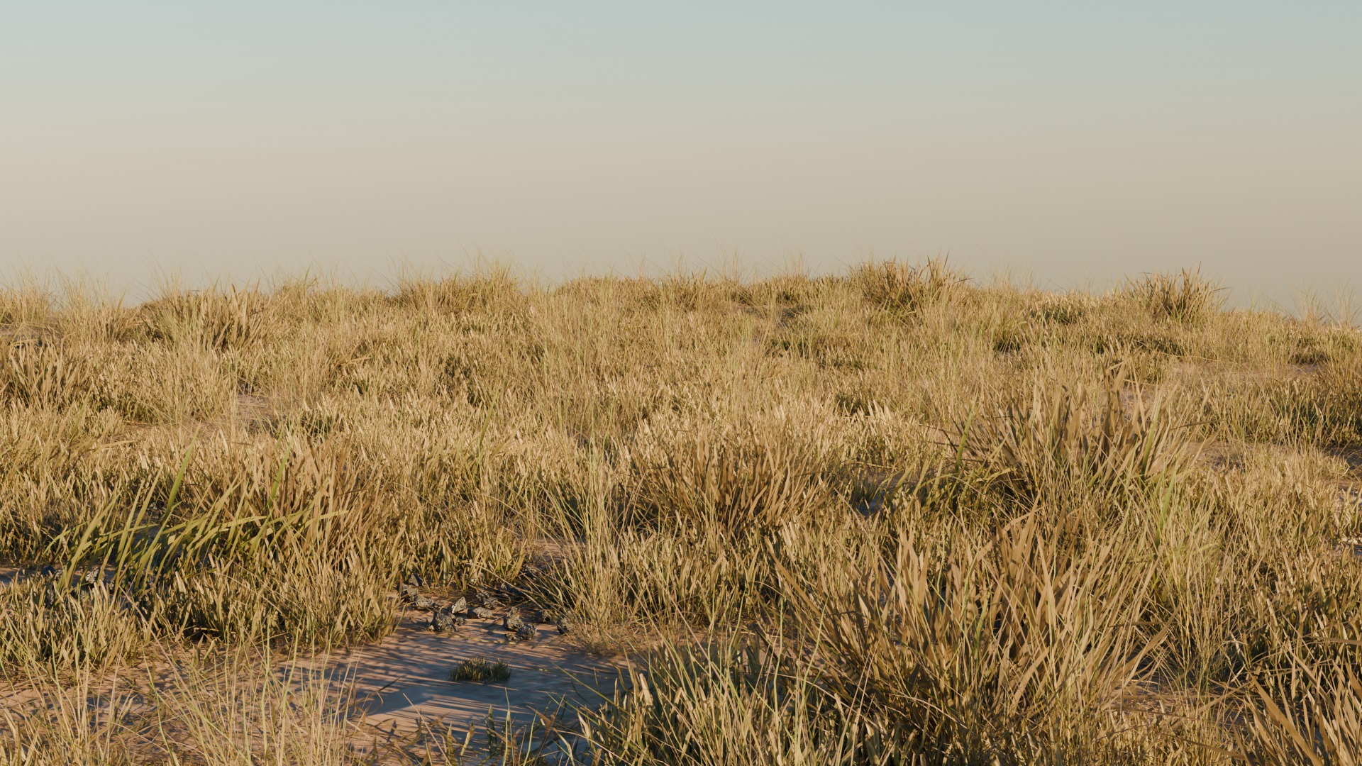 Grass Pack 3 Biomes 3D model_6