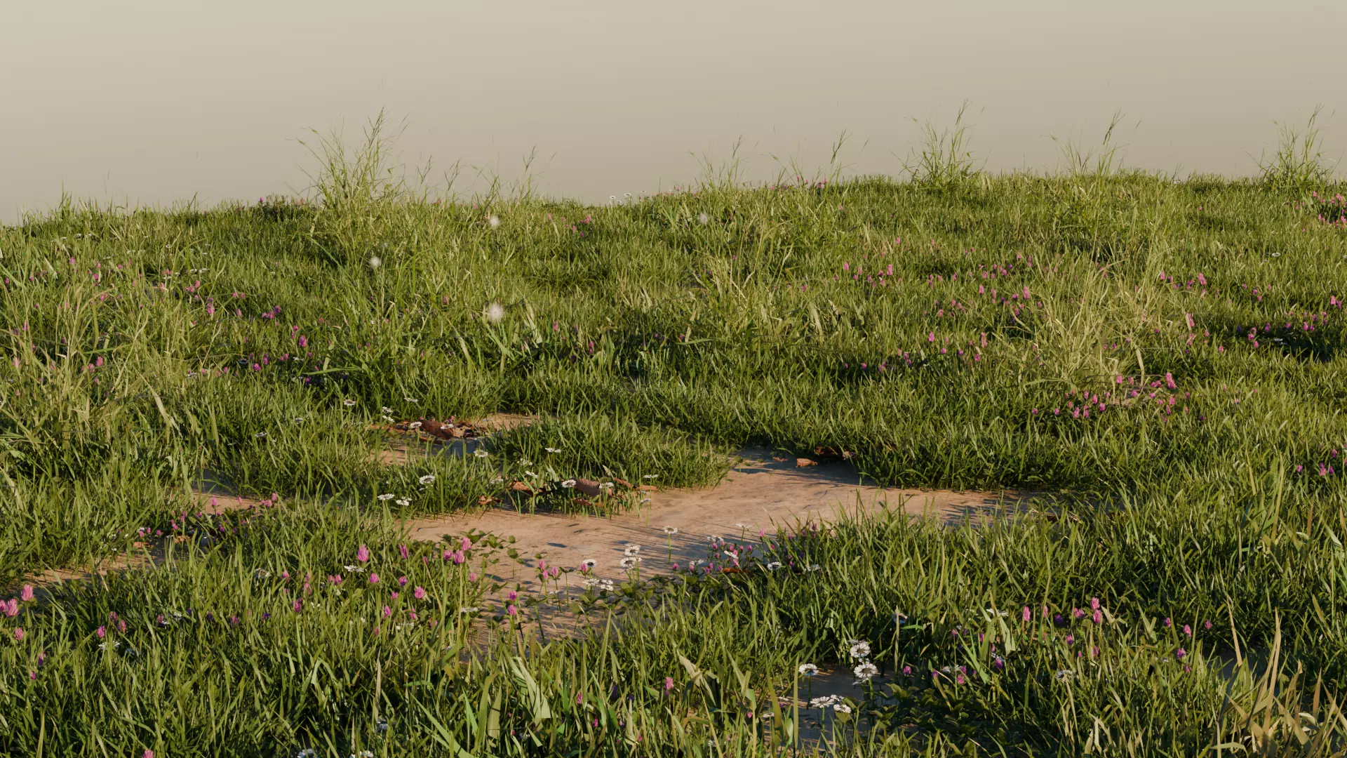 Grass Pack 3 Biomes 3D model_0