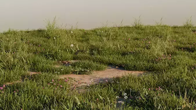 Grass Pack 3 Biomes 3D model