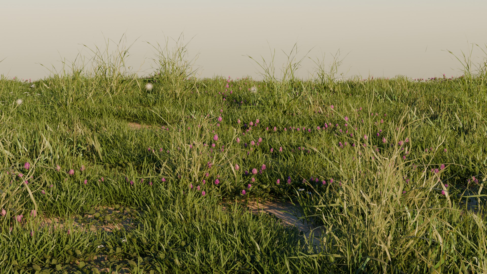 Grass Pack 3 Biomes 3D model_2