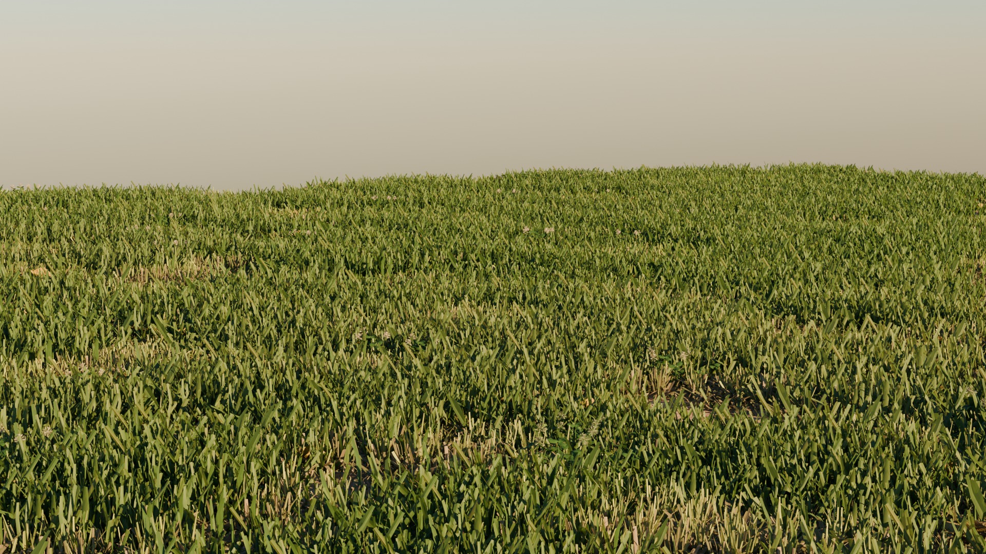 Grass Pack 3 Biomes 3D model_4