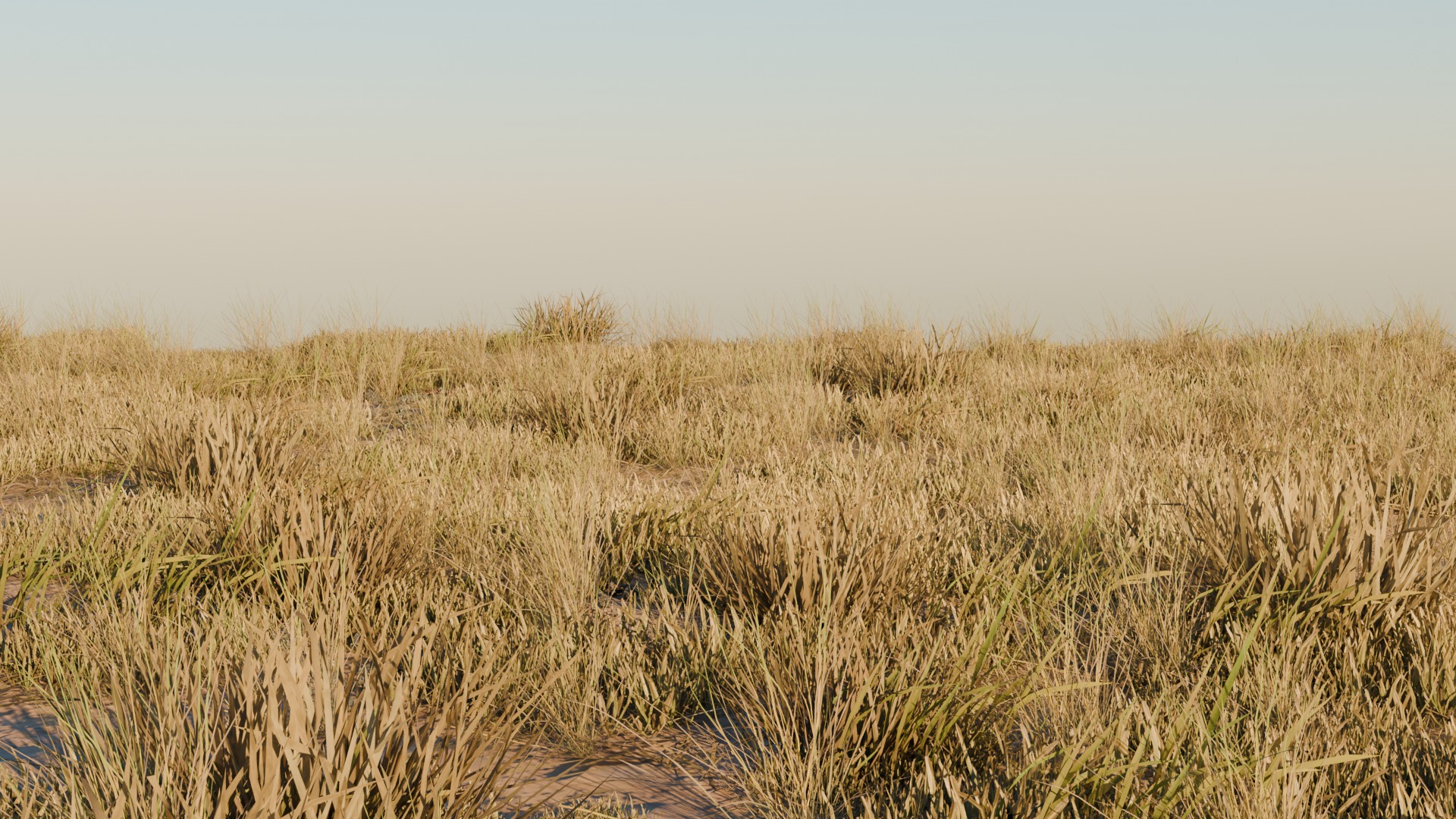Grass Pack 3 Biomes 3D model_5