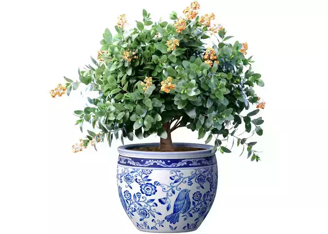 Decorative flowering garden plant tree shrub italian vase pot 3D model