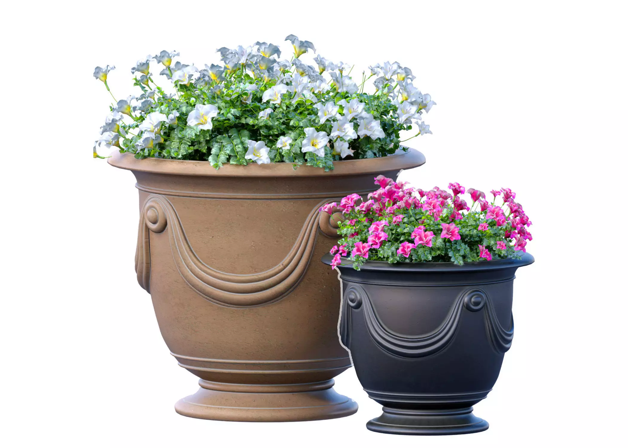 Flowerbed Petunia flowers plant  Luxury garden pots  3D model_0