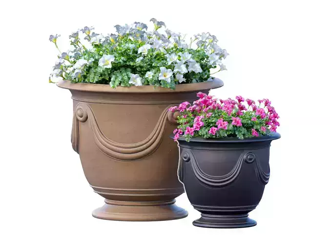Flowerbed Petunia flowers plant  Luxury garden pots  3D model