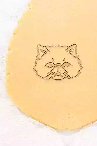 Cat Cookie Cutter - Biscuit Cutter