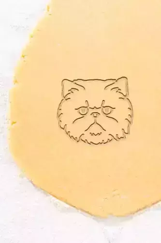 Cat Cookie Cutter - Biscuit Cutter