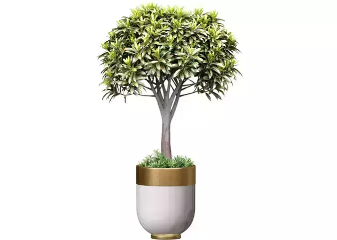Decorative tree in a modern flower pot vase art deco planters