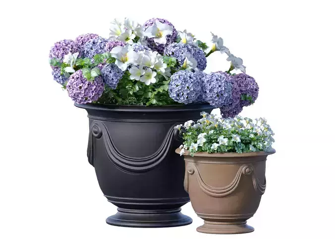 Flowerbeds bouquet bush plant Petunia Luxury classic garden pots