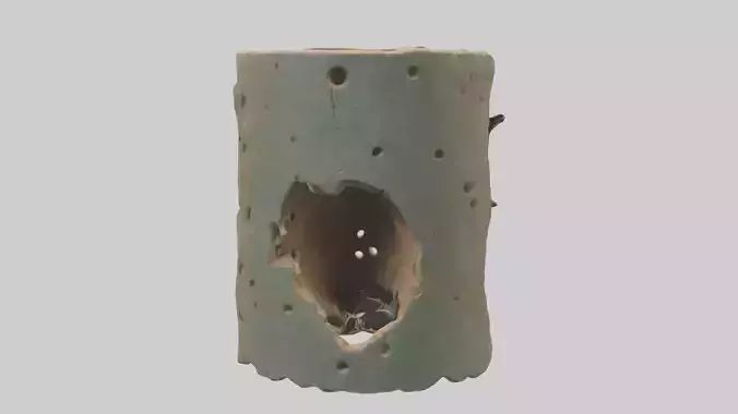 Woodpeckerhole Model