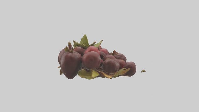 Wildfruit Model Low-poly 3D model