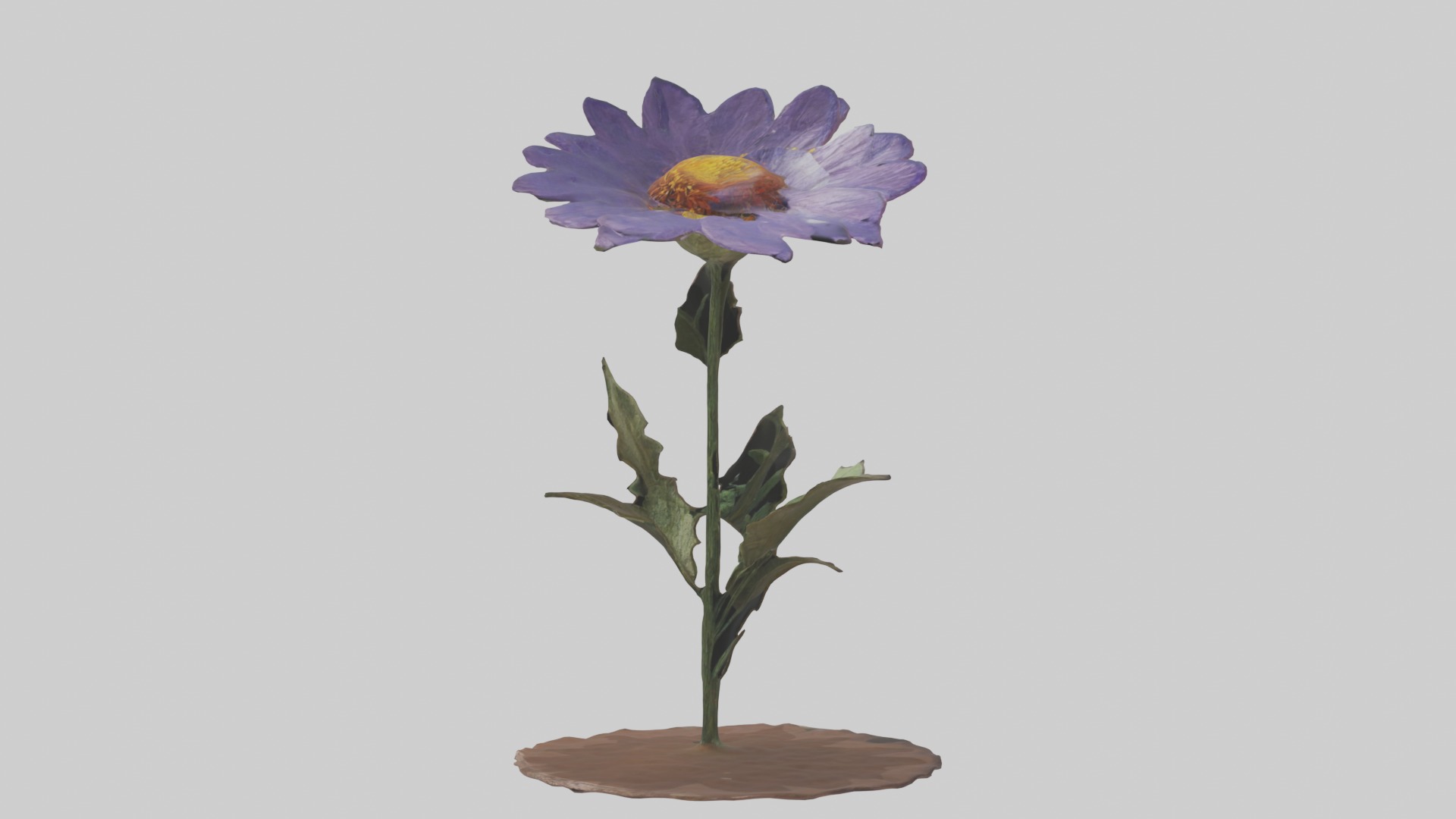 Wildflower Model Low-poly 3D model_4