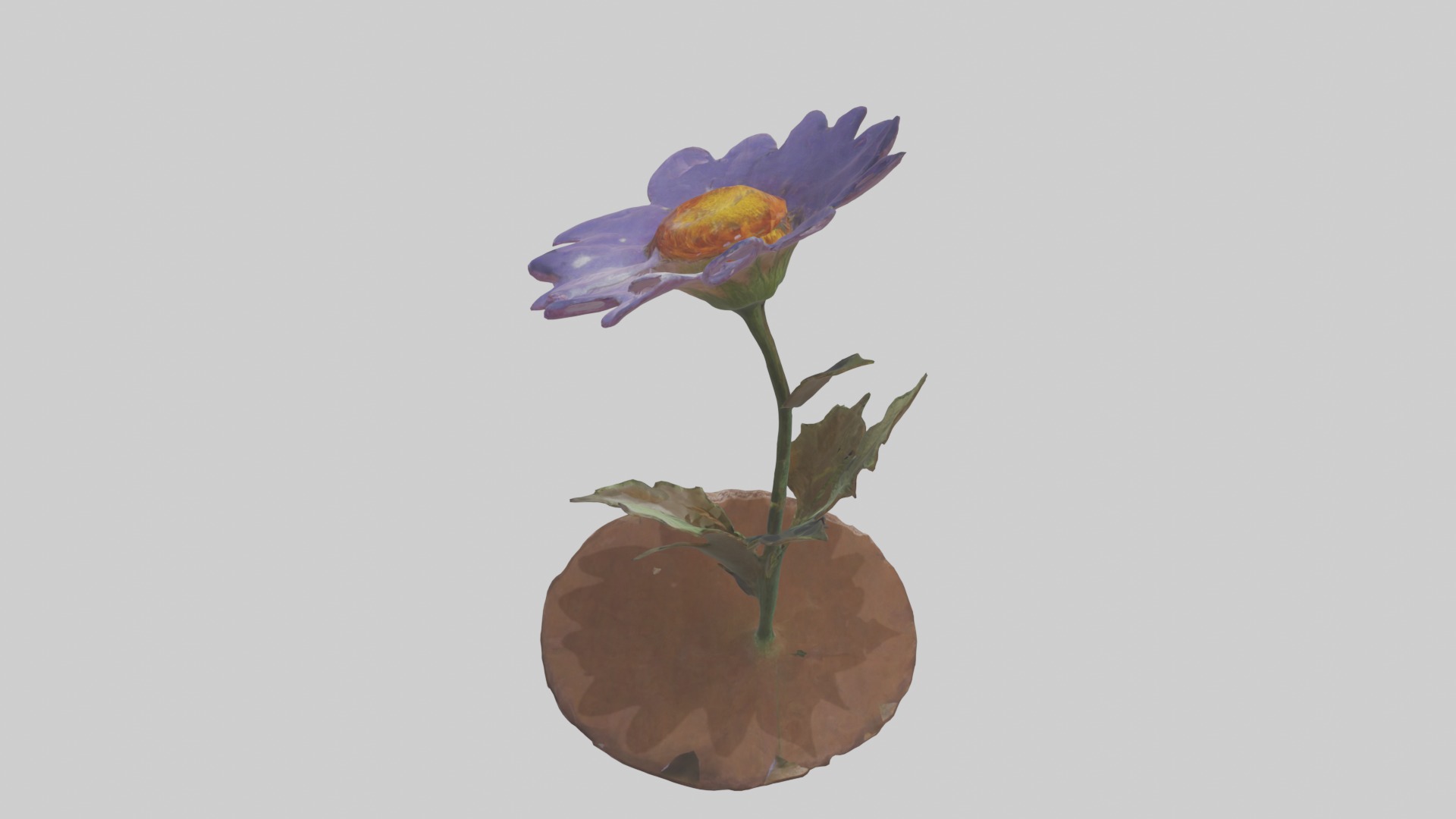 Wildflower Model Low-poly 3D model_9