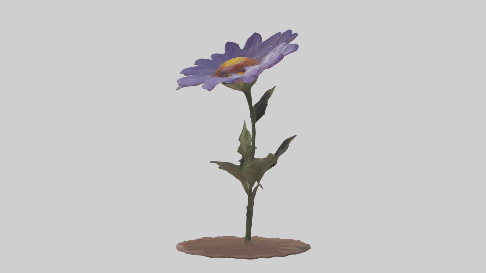 Wildflower Model Low-poly 3D model_6