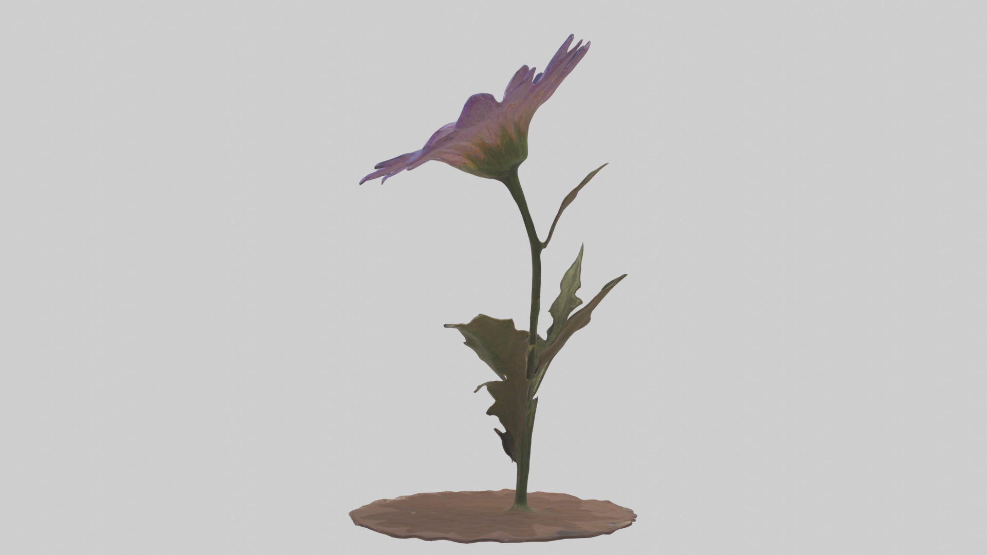 Wildflower Model Low-poly 3D model_1