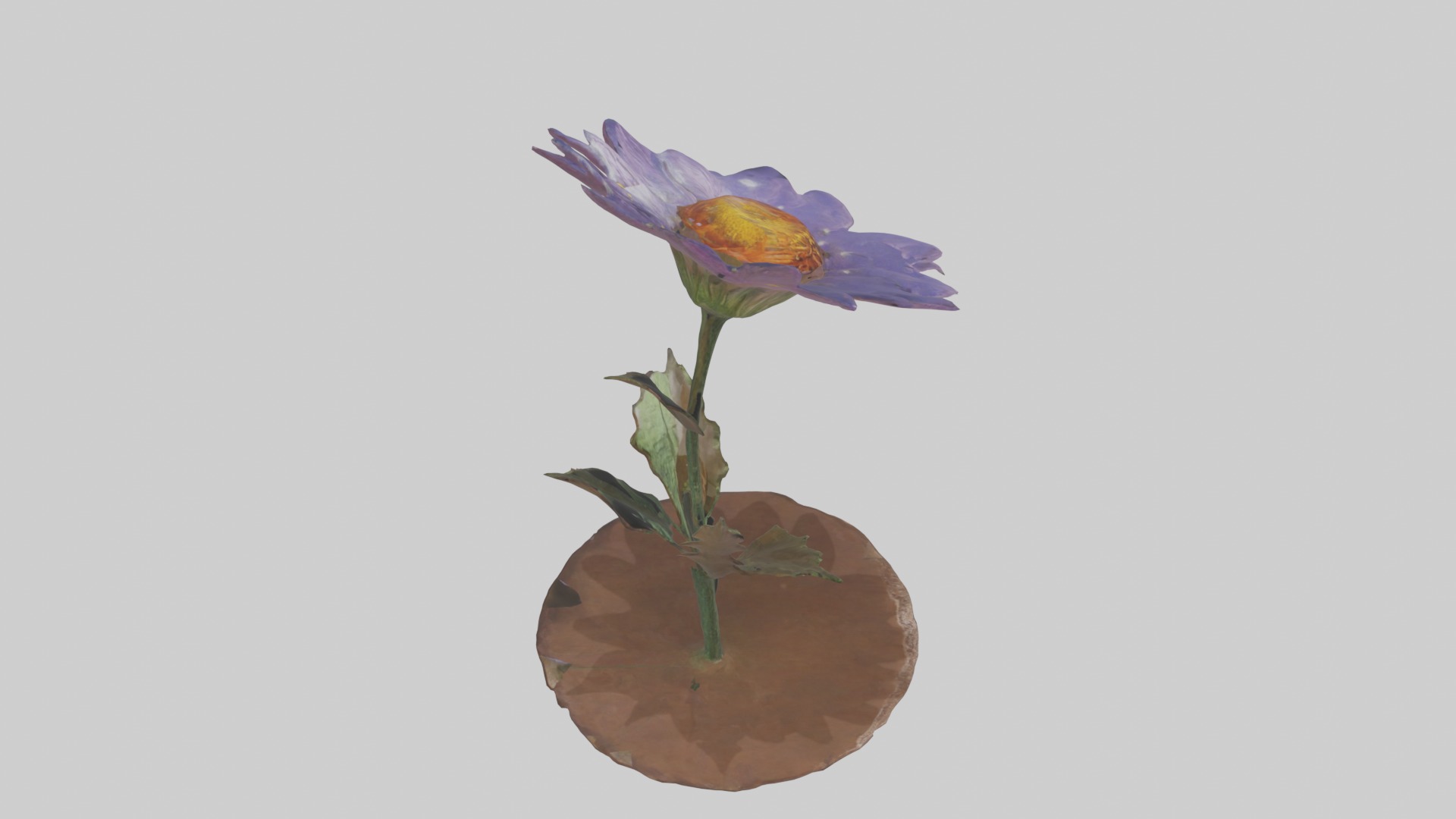 Wildflower Model Low-poly 3D model_12