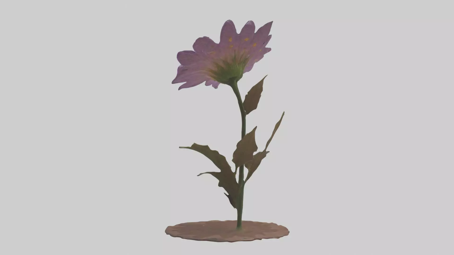 Wildflower Model Low-poly 3D model_0