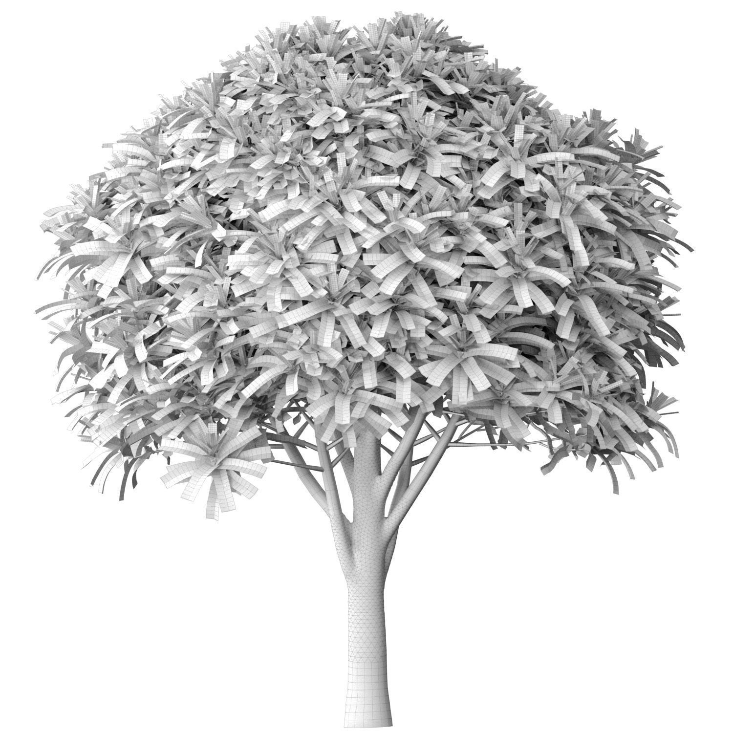 Ornamental Evergreen Garden Street Tree 3D model_2