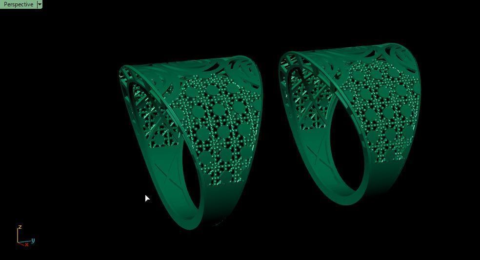 turbulence fusion ring 3D print model_3