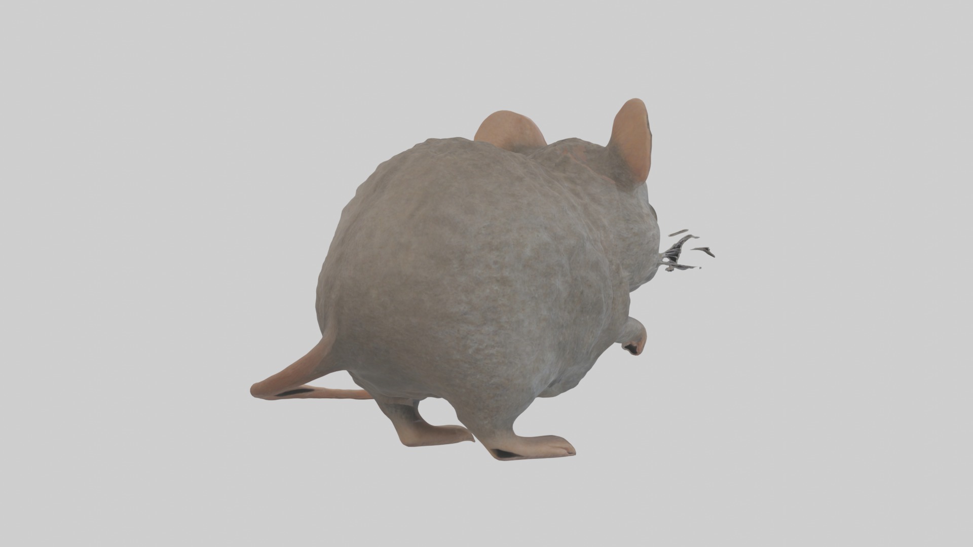 Vole Model 1 Low-poly 3D model_3