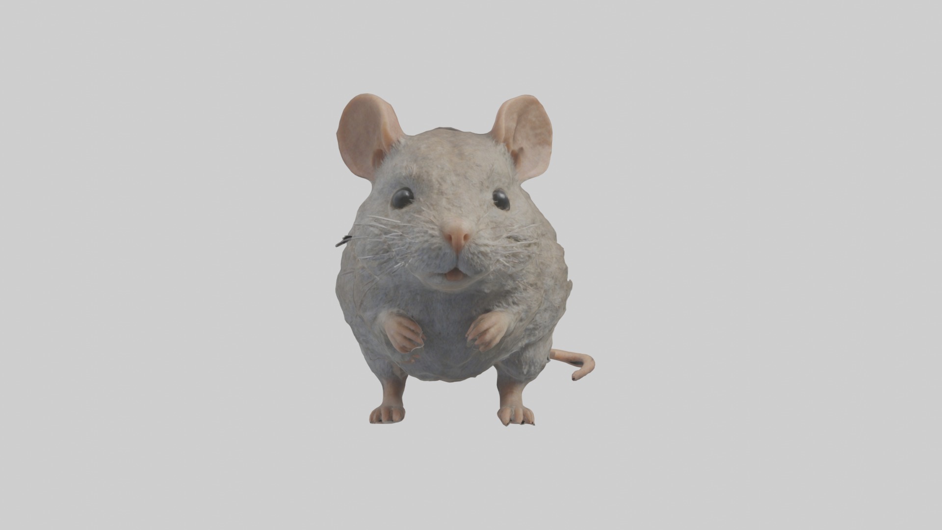 Vole Model 1 Low-poly 3D model_4