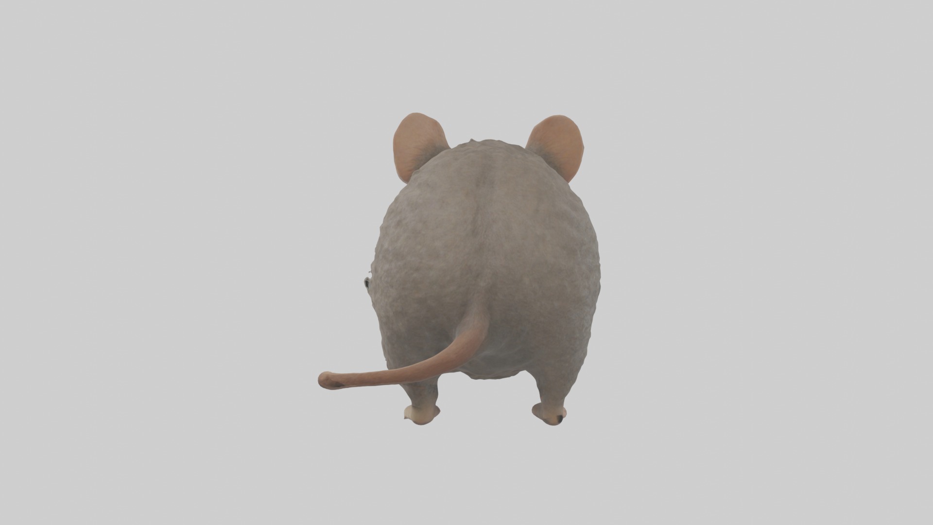 Vole Model 1 Low-poly 3D model_1