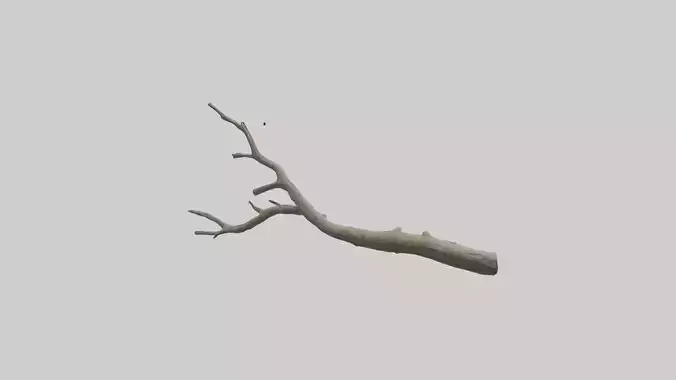 Twig Model Low-poly 3D model
