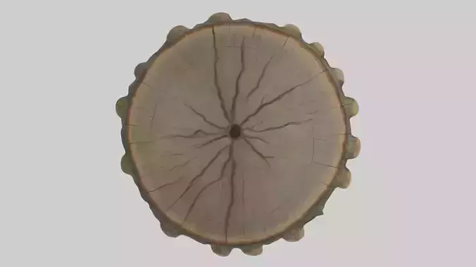 Treetrunk Model
