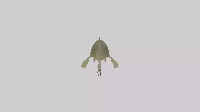 Tadpole Model