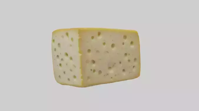 Swisscheese Model