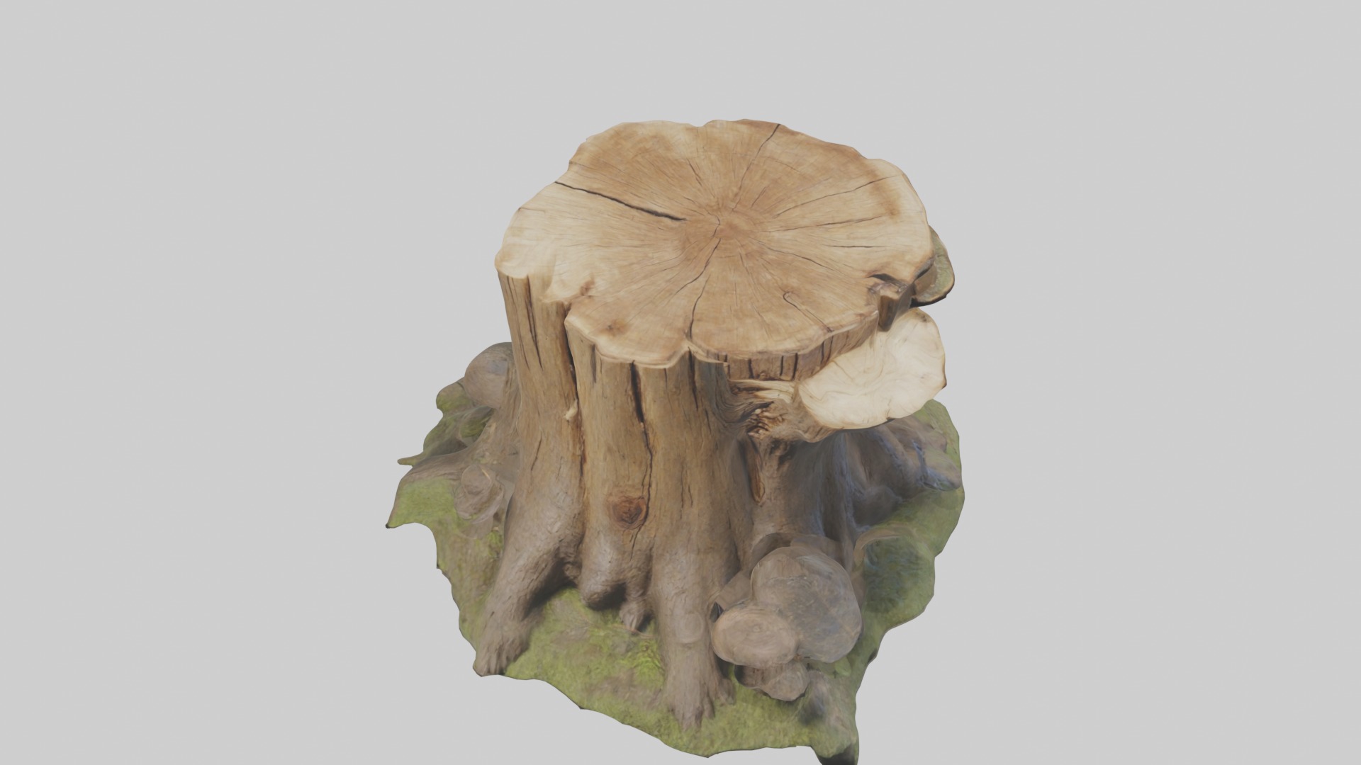 Stump Model Low-poly 3D model_10